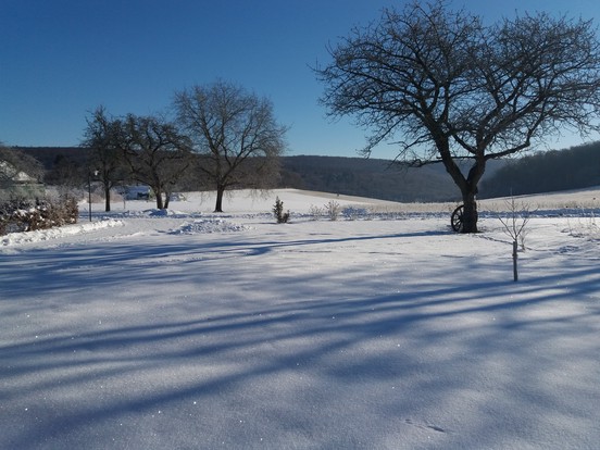Winterlandschaft in Modexen bei Brakel